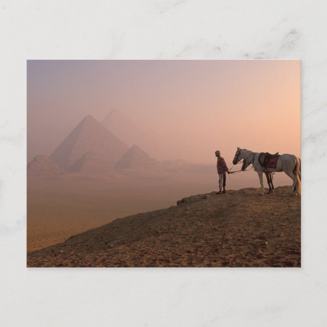 Afrika, Egypten, Kairo, Giza, Giza pyramiderna vid Vykort (Framsida)