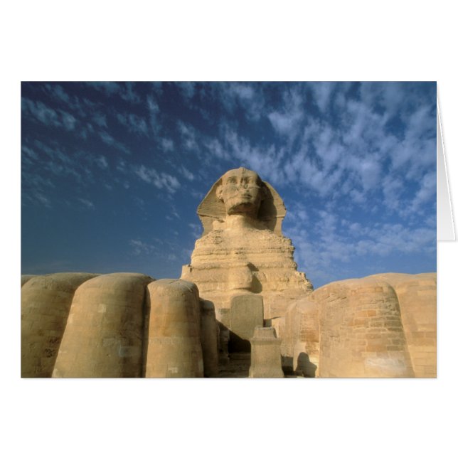 Afrika, Egypten, Kairo, Giza platå. Sfingen Hälsningskort (Framsidan Horizontal)