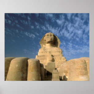Afrika, Egypten, Kairo, Giza platå. Sfingen Poster