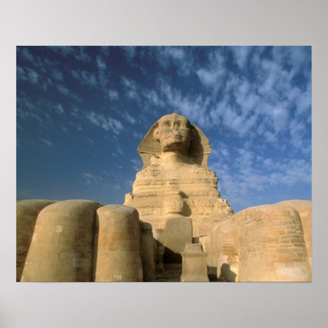 Afrika, Egypten, Kairo, Giza platå. Sfingen Poster (Framsidan)