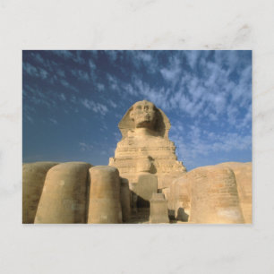 Afrika, Egypten, Kairo, Giza platå. Sfingen Vykort