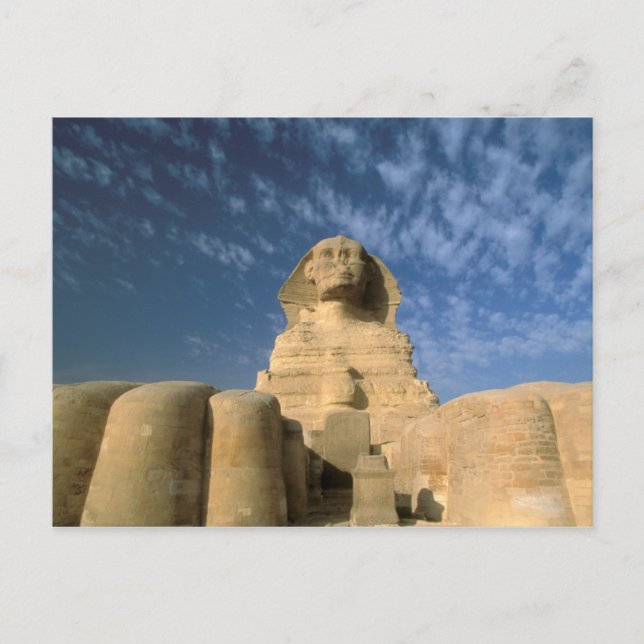 Afrika, Egypten, Kairo, Giza Plateau. Sphinx Vykort (Framsida)