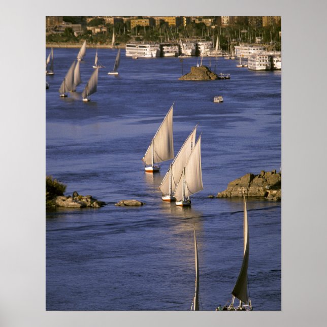 Afrika, Egypten, Övre Egypten, Aswan. Feluccor Poster (Framsidan)