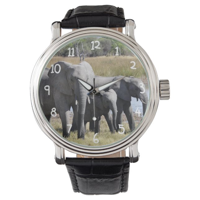 Afrika Elephant Herds Armbandsur (Framsida)