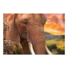 Afrika Elephant I KÄNNER DIN HJÄRTA Fototryck