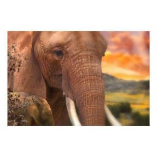 Afrika Elephant I KÄNNER DIN HJÄRTA Fototryck