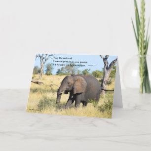 Afrika-Elephant och Kenyan Proverb Tack Kort