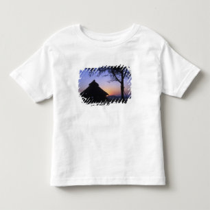 Afrika, Etiopien, Omo flodregion, Solnedgång över T Shirt
