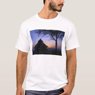 Afrika, Etiopien, Omo flodregion, Solnedgång över Tee Shirt