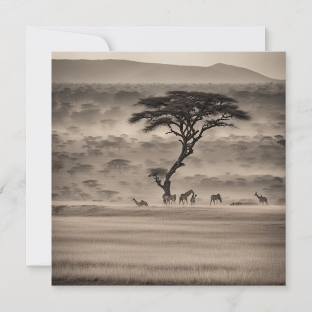 Afrika Julkort (Framsida)