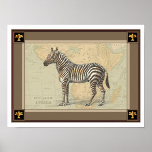 Afrika Karta och Zebra Poster
