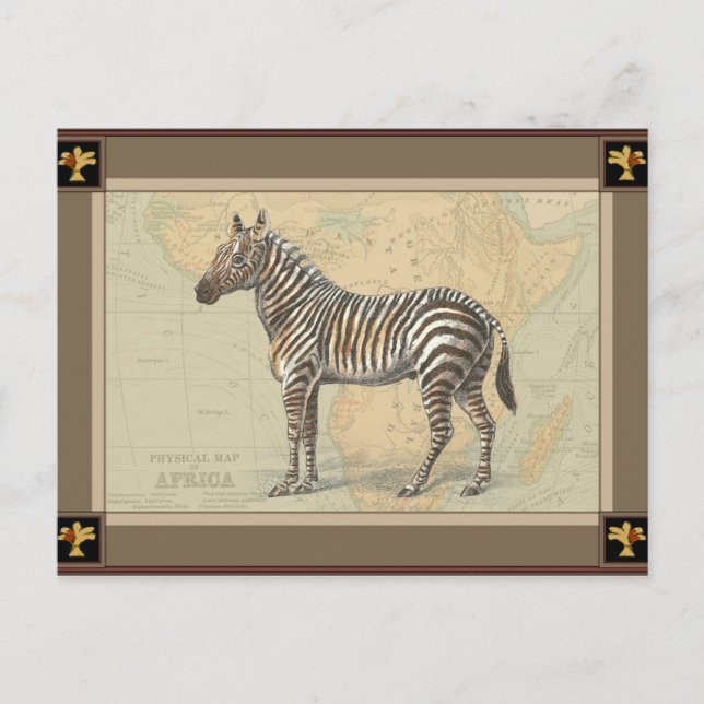 Afrika Karta och Zebra Vykort (Framsida)