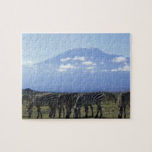 Afrika, Kenya, Amboseli National Park, Flock av Pussel