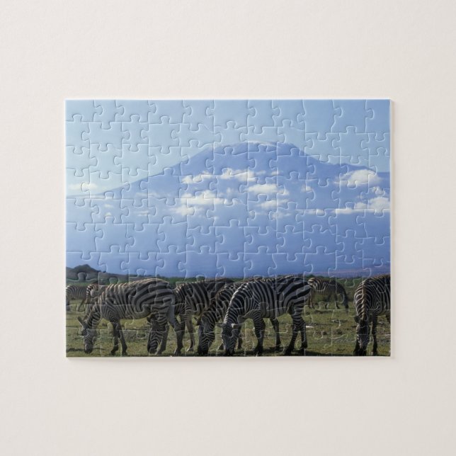 Afrika, Kenya, Amboseli National Park, Flock av Pussel (Horisontell)