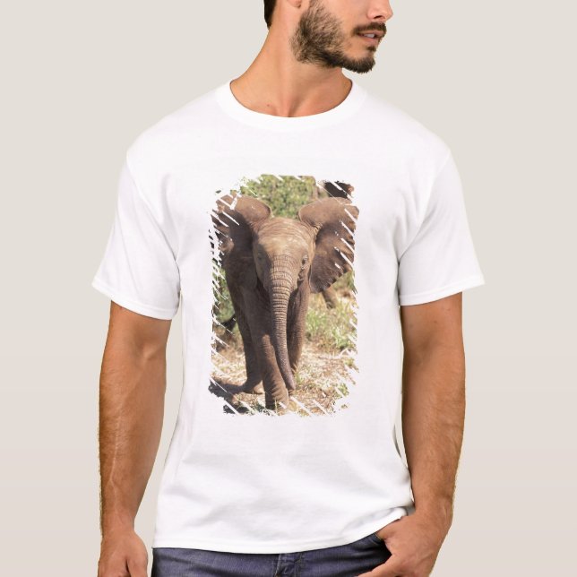Afrika, Kenya, Amboseli nationalpark. Afrika 2 Tee (Framsida)