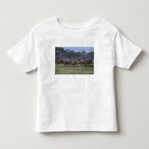 Afrika, Kenya, Amboseli Nationalpark. Afrikansk 3 T-shirt