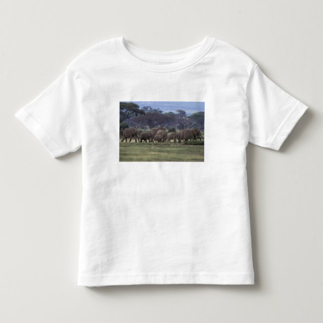 Afrika, Kenya, Amboseli Nationalpark. Afrikansk 3 Tröja (Framsida)