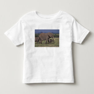 Afrika, Kenya, Amboseli Nationalpark. Afrikansk 4 Tröja
