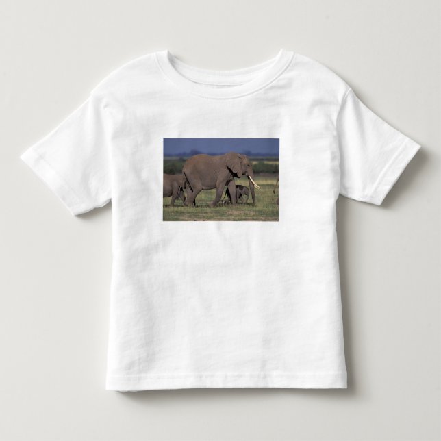 Afrika, Kenya, Amboseli Nationalpark. Afrikansk 4 Tröja (Framsida)
