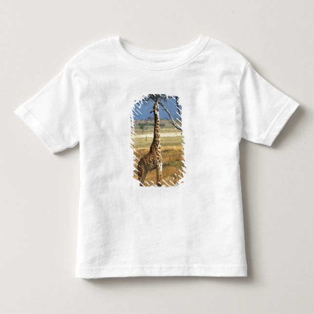 Afrika, Kenya, Amboseli NP. A Common, eller Masai Tee Shirt (Framsida)