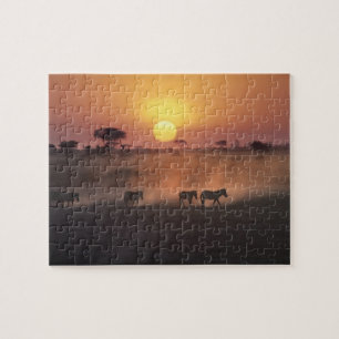Afrika, Kenya, Amboseli NP. Zebror går till Pussel