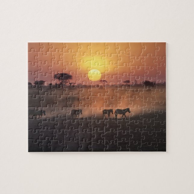 Afrika, Kenya, Amboseli NP. Zebror går till Pussel (Horisontell)