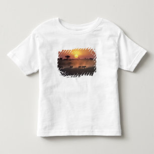 Afrika, Kenya, Amboseli NP. Zebror går till T-shirt