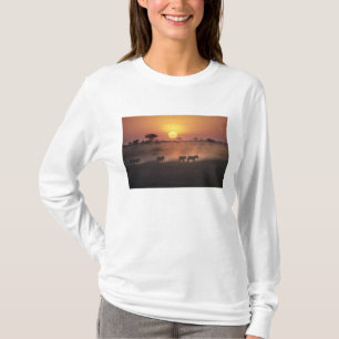 Afrika, Kenya, Amboseli NP. Zebror går till T-shirt