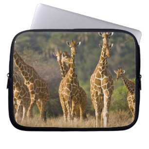 Afrika. Kenya. Flock av Nätgiraffer Laptop Sleeve
