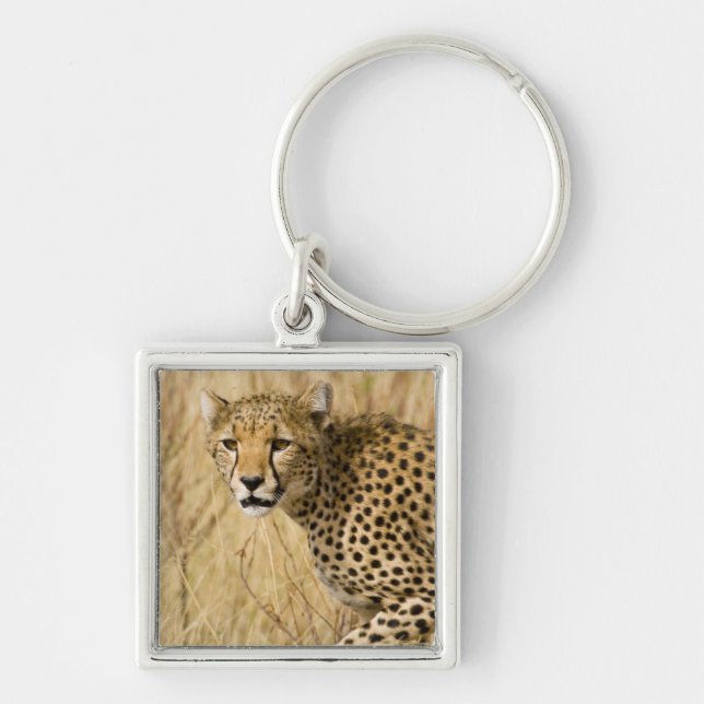 Afrika. Kenya. Gepard på Samburu NP. Fyrkantig Silverfärgad Nyckelring (Framsidan)
