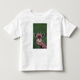 Afrika, Kenya, Impala Ranch. Reticulerad Tee Shirt