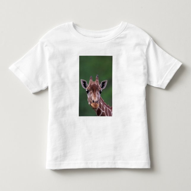 Afrika, Kenya, Impala Ranch. Reticulerad Tee Shirt (Framsida)