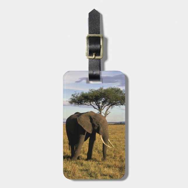 Afrika, Kenya, Maasai Mara. En elefant i Bagagebricka (Vertikal Framsida)