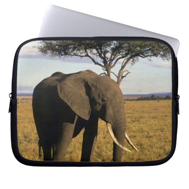 Afrika, Kenya, Maasai Mara. En elefant i Laptop Sleeve (Framsidan)