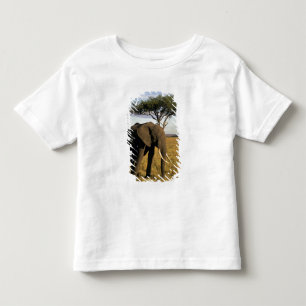 Afrika, Kenya, Maasai Mara. En elefant i Tee Shirt