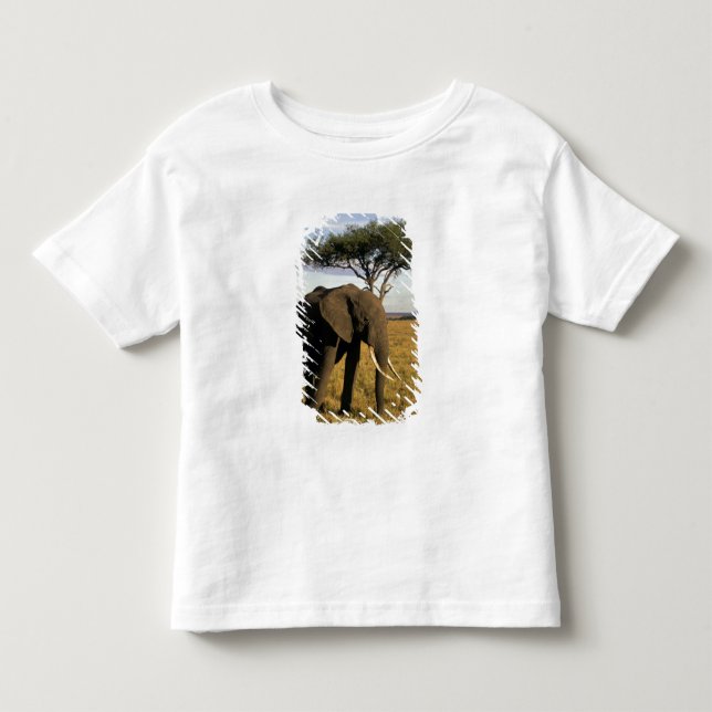 Afrika, Kenya, Maasai Mara. En elefant i Tee Shirt (Framsida)