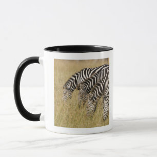 Afrika Kenya, Maasai Mara Mugg