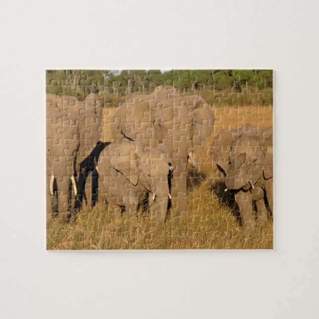 Afrika, Kenya, Masai Mara. Afrikansk elefant Pussel (Horisontell)