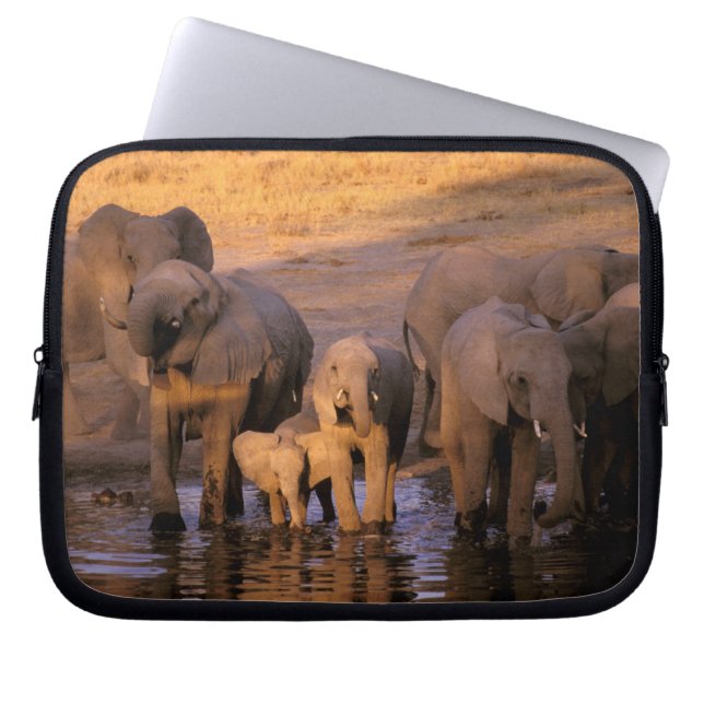 Afrika, Kenya, Masai Mara. Elefanter (Loxodonta Laptop Sleeve (Framsidan)