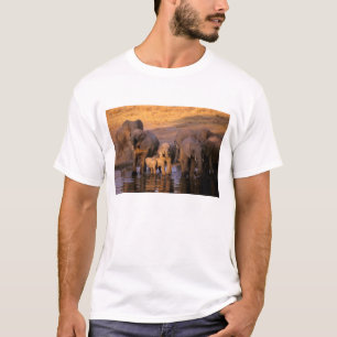 Afrika, Kenya, Masai Mara. Elefanter (Loxodonta T-shirt