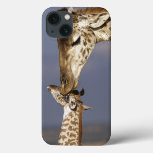 Afrika Kenya, Masai Mara. Giraff (giraff