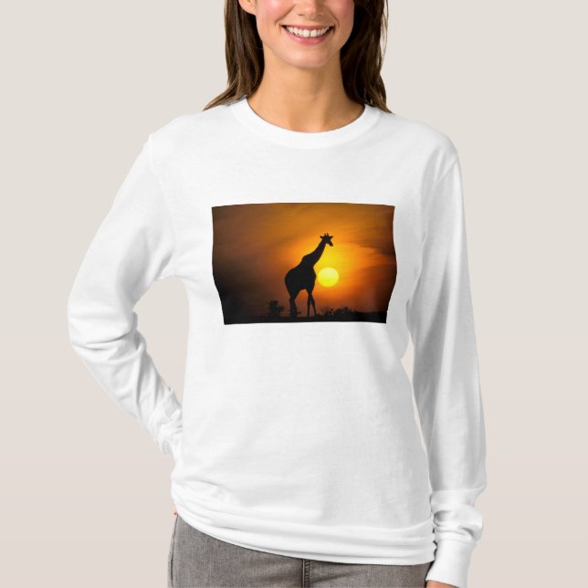 Afrika, Kenya, Masai Mara. Giraff (Giraffa T-shirt (Framsida)
