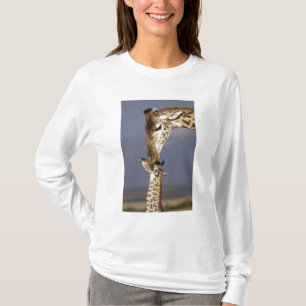 Afrika, Kenya, Masai Mara. Giraffer (Giraffa Tee Shirt