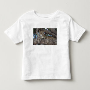 Afrika. Kenya. Masai Mara. Leopard (Panthera Tee Shirt