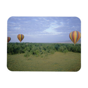 Afrika, Kenya, Masai Mara National Preserve, 2 Magnet