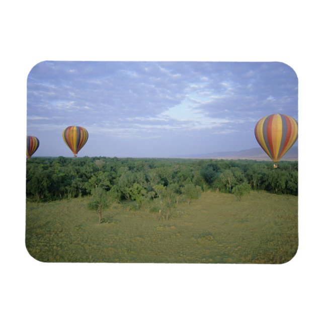Afrika, Kenya, Masai Mara National Preserve, 2 Magnet (Horisontell)