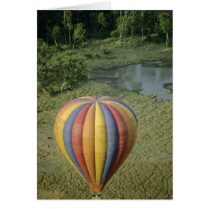 Afrika, Kenya, Masai Mara National Preserve, 3 Hälsningskort