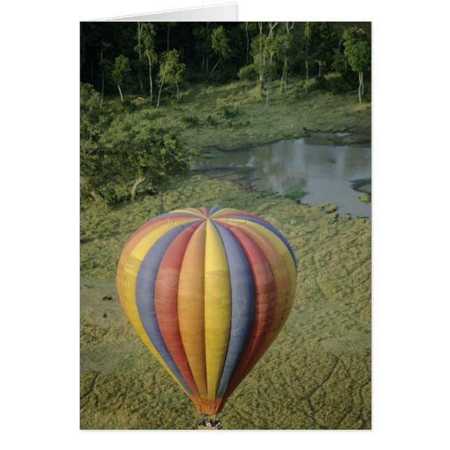Afrika, Kenya, Masai Mara National Preserve, 3 Hälsningskort (Framsidan)