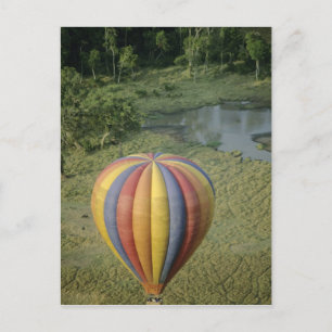 Afrika, Kenya, Masai Mara National Preserve, 3 Vykort