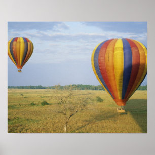 Afrika, Kenya, Masai Mara National Preserve Poster